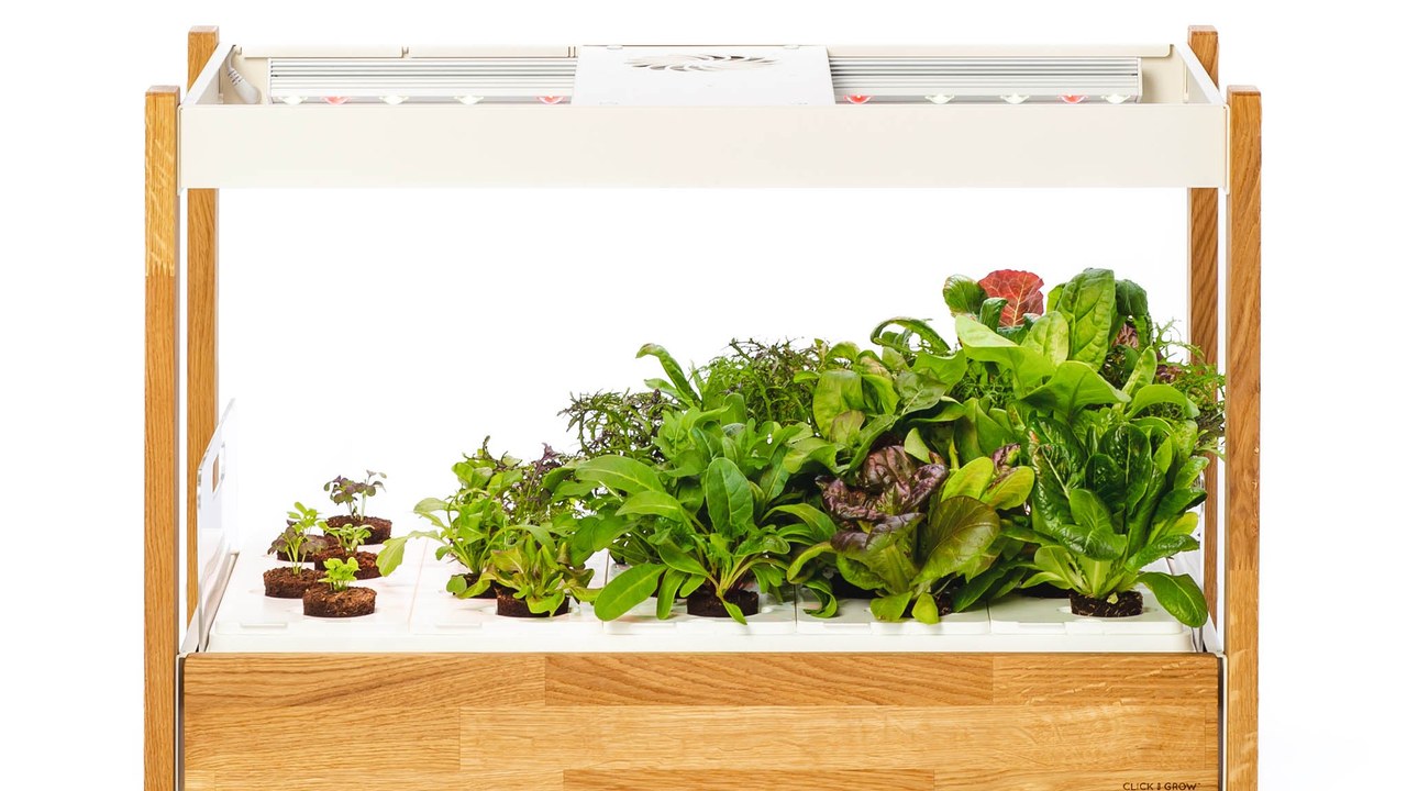Copertina Recensione Click & Grow 25 (2026): l'orto indoor che sembra un mobile di design