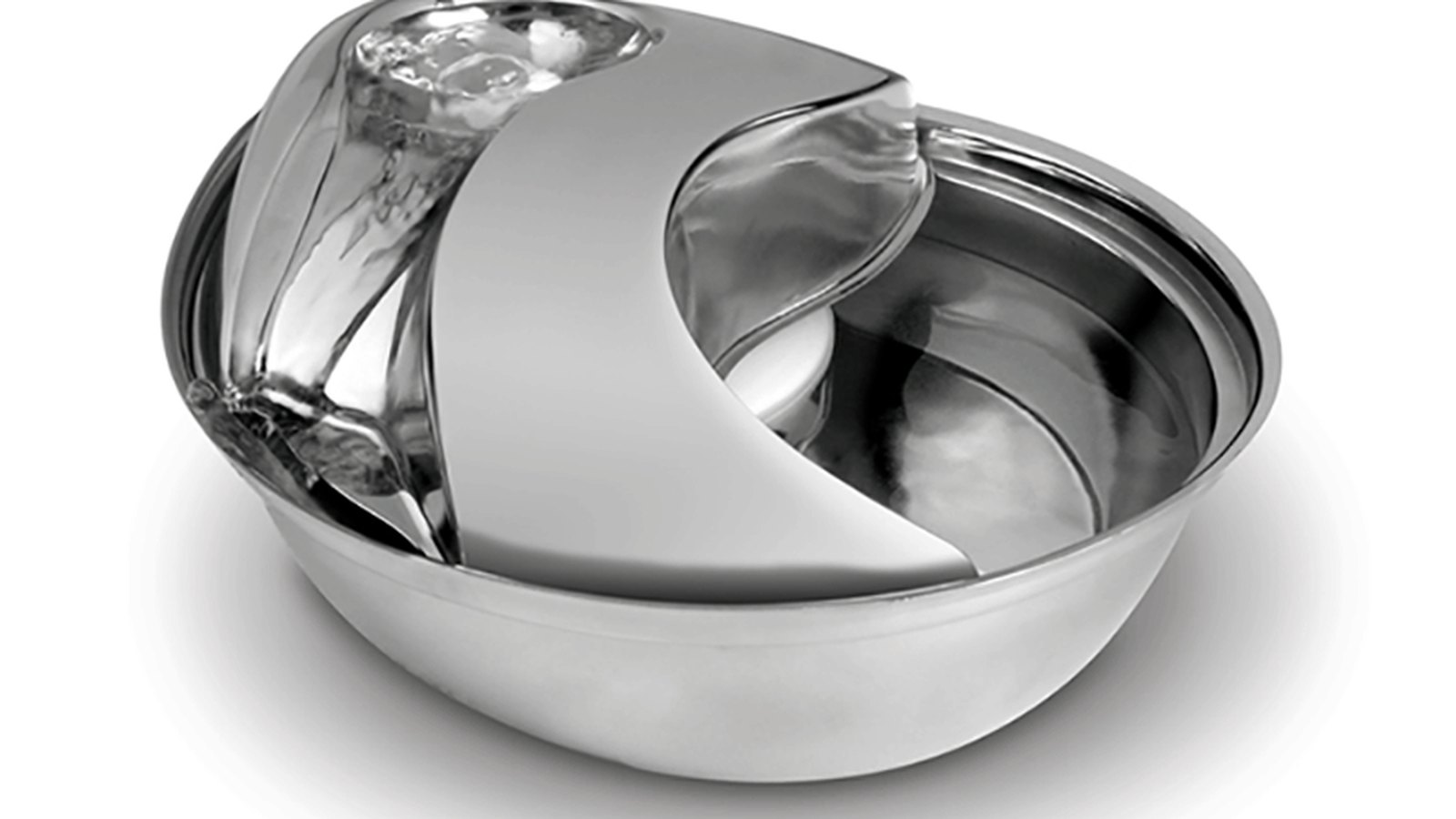 Copertina Recensione Pioneer Pet Stainless: la fontanella in acciaio per gatti schizzinosi